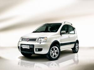 Fiat Panda 4x4 Glam 2008 года